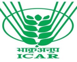 1 Indian Council for Agricultural Research (ICAR) 1